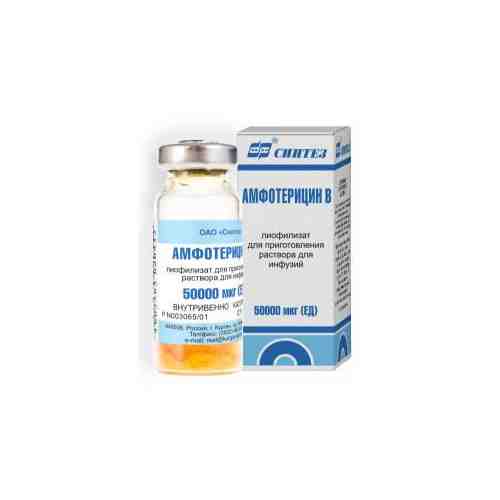 Амфотерицин B, 50 тыс. ЕД, лиофилизат для приготовления раствора для инфузий, 10 мл, 1 шт.