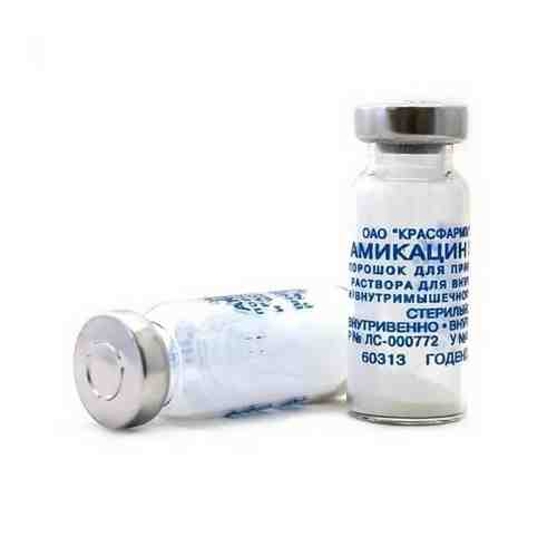 Амикацин, 1 г, порошок для приготовления раствора для внутривенного и внутримышечного введения, 1 шт.
