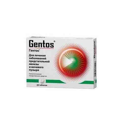 Гентос, таблетки подъязычные гомеопатические, 20 шт.