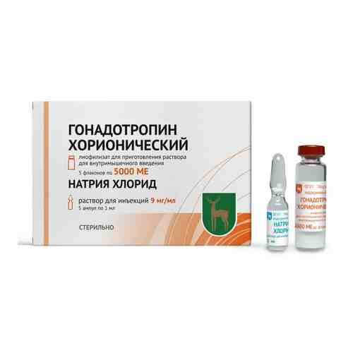 Гонадотропин хорионический, 5000 МЕ, лиофилизат для приготовления раствора для внутримышечного введения, в комплекте с растворителем, 5 мл, 5 шт.