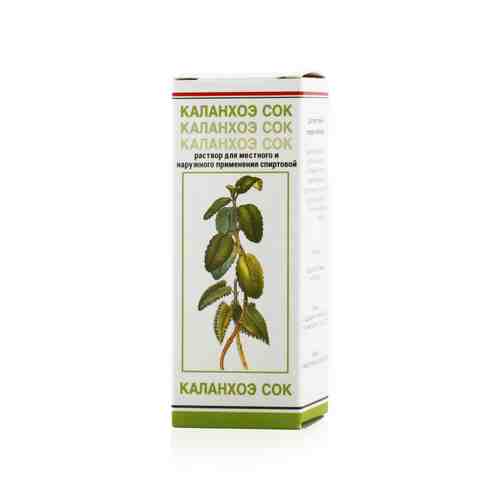 Каланхоэ сок, раствор для местного и наружного применения, 20 мл, 1 шт.