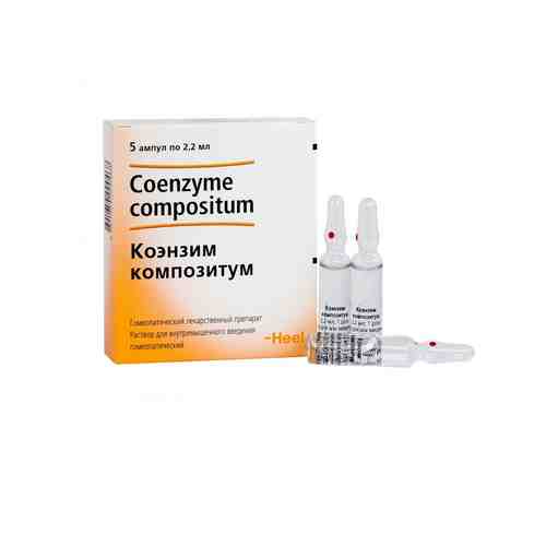 Коэнзим композитум, раствор для внутримышечного введения гомеопатический, 2.2 мл, 5 шт.