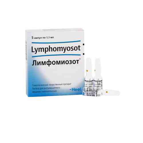 Лимфомиозот, раствор для внутримышечного введения гомеопатический, 1.1 мл, 5 шт.