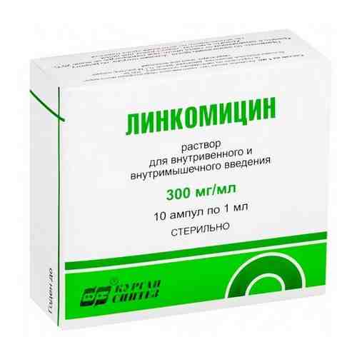 Линкомицин (для инъекций), 300 мг/мл, раствор для внутривенного и внутримышечного введения, 1 мл, 10 шт.