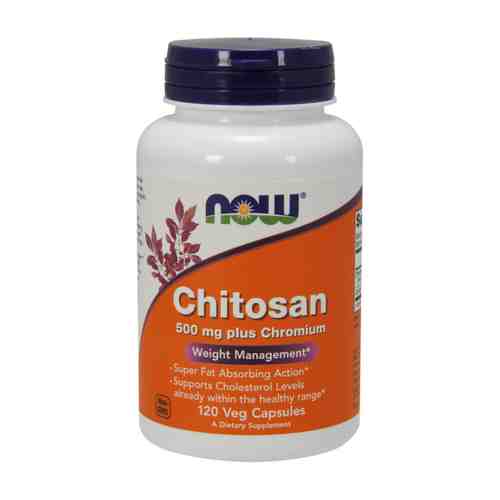 Now Chitosan Хитозан с хромом, 500 мг, капсулы, 120 шт.
