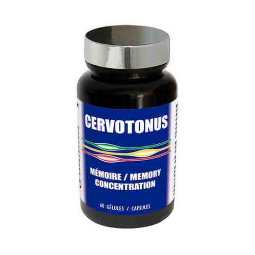 NutriExpert Cervotonus для памяти и лучшей концентрации, капсулы, 60 шт.