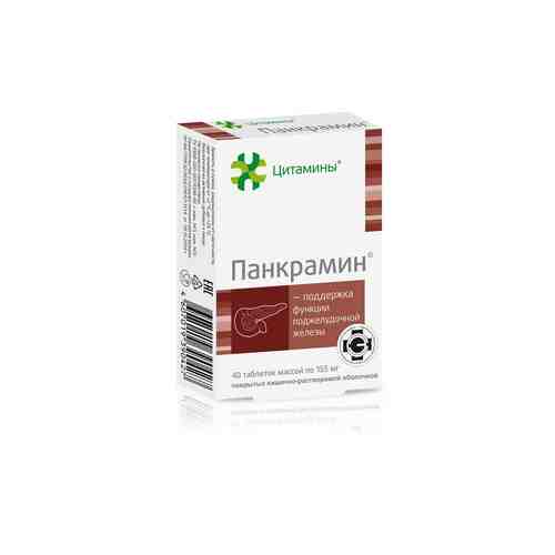 Панкрамин, 155 мг, таблетки, покрытые кишечнорастворимой оболочкой, 40 шт.