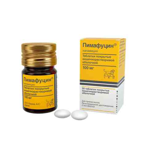 Пимафуцин, 100 мг, таблетки, покрытые кишечнорастворимой оболочкой, 20 шт.