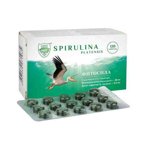 Спирулина Фитосила, 350 мг, таблетки, 120 шт.