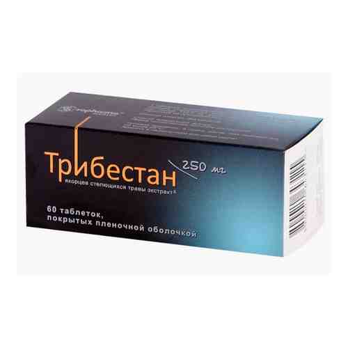 Трибестан, 250 мг, таблетки, покрытые пленочной оболочкой, 60 шт.