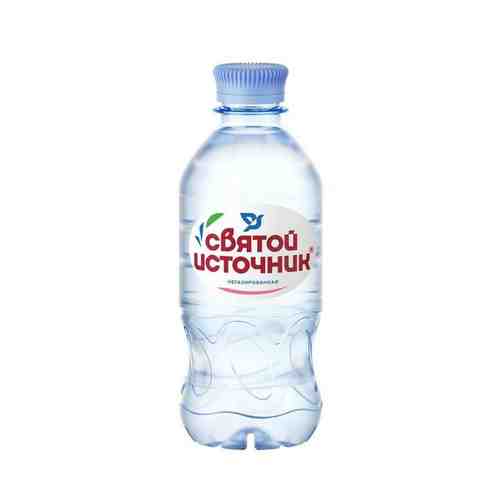 Вода Святой источник питьевая, негазированная, в пластиковой бутылке, 330 мл, 1 шт.