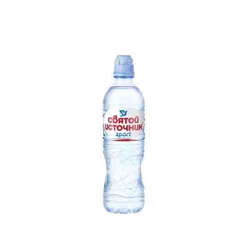 Вода Святой источник питьевая Спорт, негазированная, в пластиковой бутылке, 0.5 л, 1 шт.