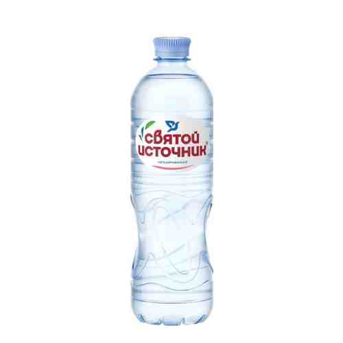 Вода Святой источник питьевая Спорт, негазированная, в пластиковой бутылке, 0.75 л, 1 шт.